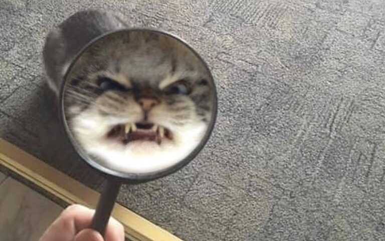 О ДОБРОТЕ